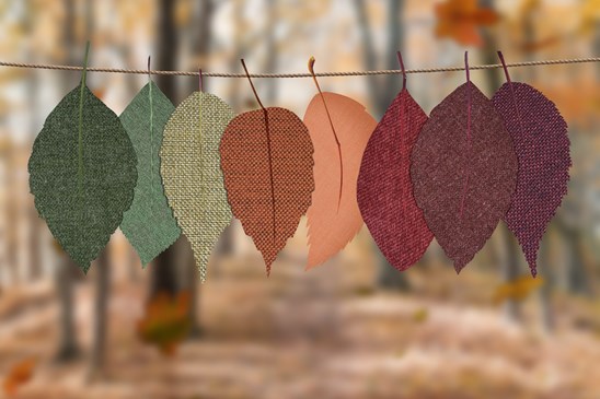 autumn-decoration-autumn-mood-forest-bright-1389460